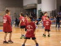 basket-fiume_1